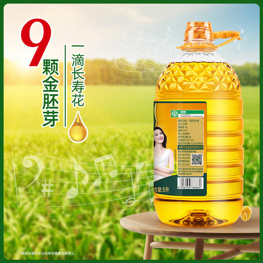 长寿花金胚玉米油5L*2+400ml*2 商品图4