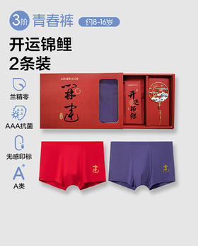 【5F】爱慕儿童开运锦鲤少男内裤2件装 AK223H521