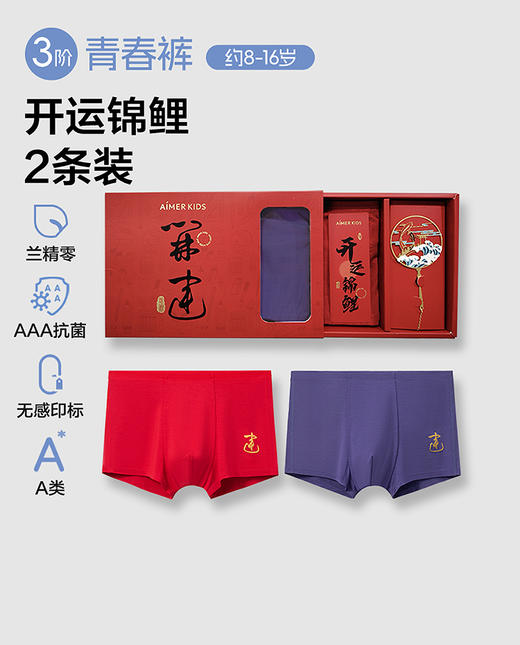 【5F】爱慕儿童开运锦鲤少男内裤2件装 AK223H521 商品图0