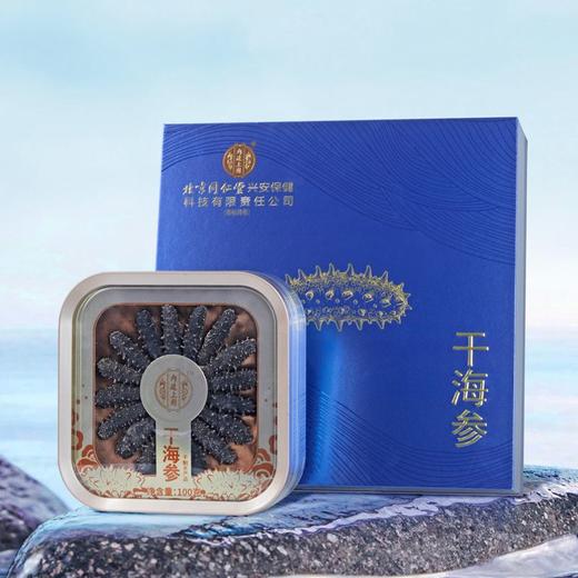 同仁堂100g干海参礼盒 商品图0