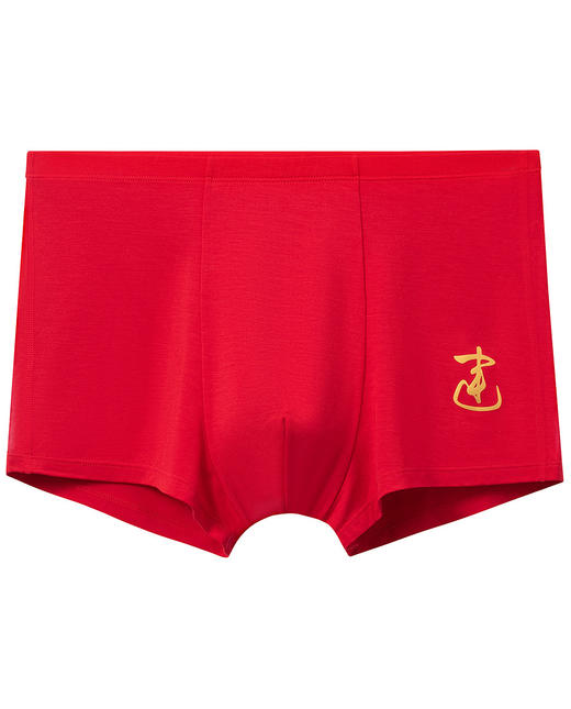 【5F】爱慕儿童开运锦鲤少男内裤2件装 AK223H521 商品图3