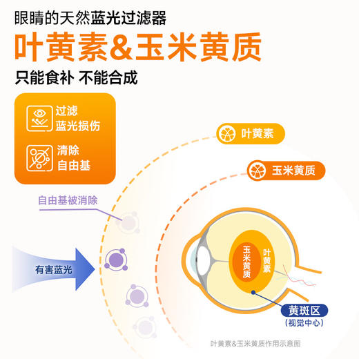 乐了叶黄素 27g*1瓶 商品图1
