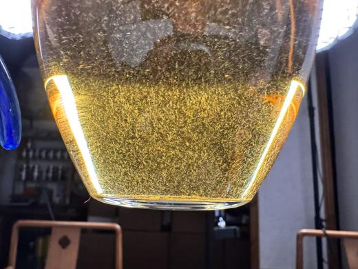 2025 空谷  果香寿眉  福鼎磻溪 青龙山腹地 300克起 商品图7