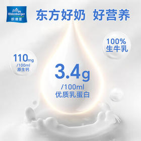 欧德堡（Oldenburger）3.4g蛋白全脂纯牛奶1L*12盒 家庭装 早餐奶 性价款