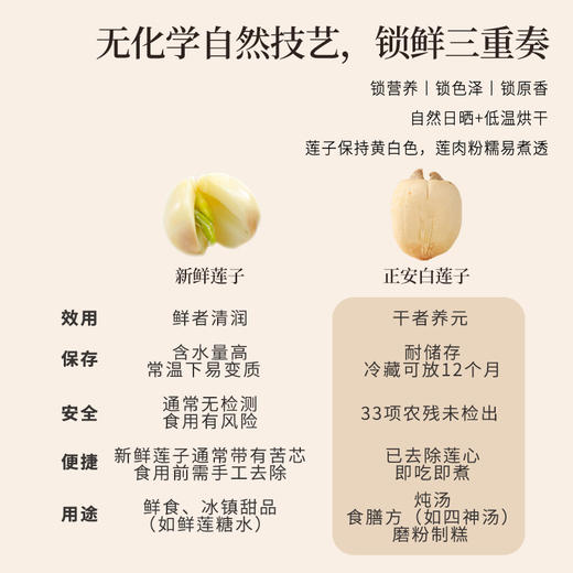 【白莲子 】湖南湘潭产地去芯莲子250g/罐  优质原材 甘平下火降燥温养口感粉糯清甜  商品图5