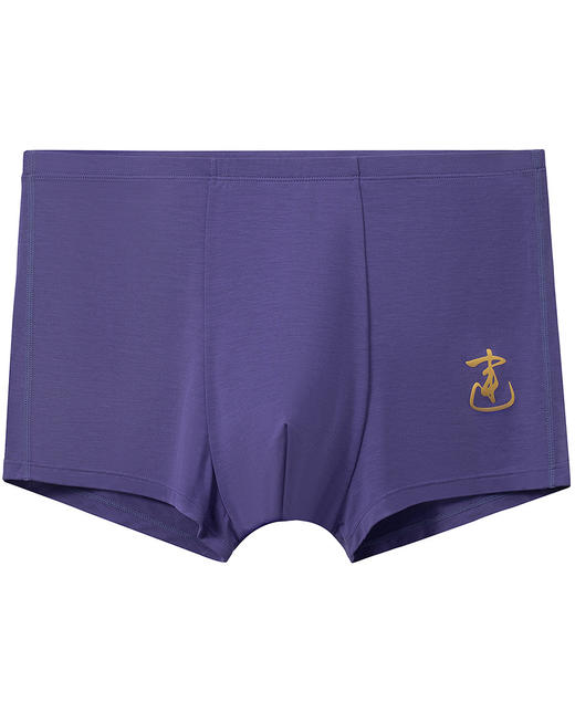 【5F】爱慕儿童开运锦鲤少男内裤2件装 AK223H521 商品图4