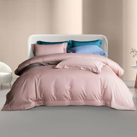 100支全棉刺绣四件套-杰西卡