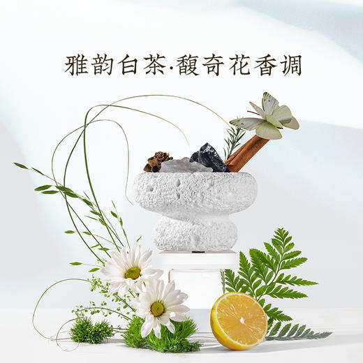 宋朝•四季闲庭系列扩香石T 商品图2