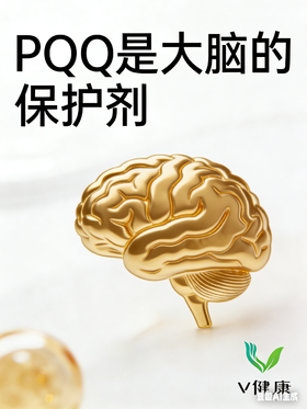  大脑开始“断电”？PQQ可能是你还没试过的神经保护剂