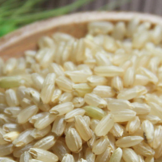 有机糙米420g 商品图1