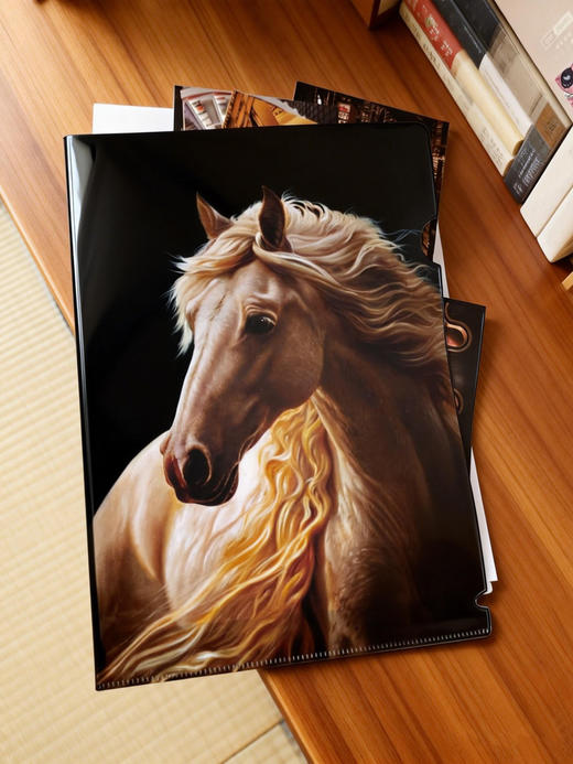 钟书阁×米巧铭 | 鲜衣怒马联名文件片夹 商品图0