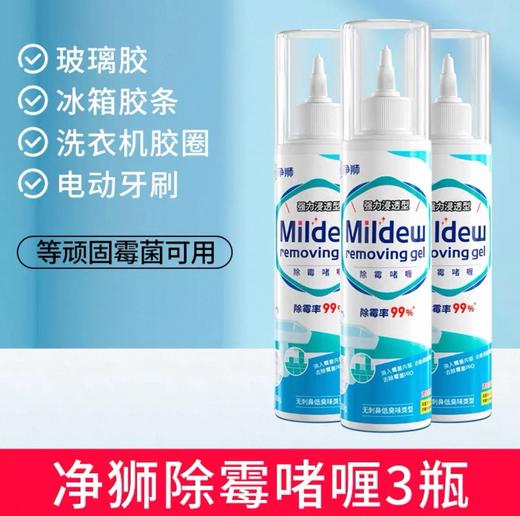 【净狮新年家清专场】喜迎春节，开运大扫除，除旧迎新，窗明几净过大年~ 商品图6