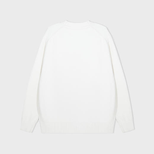 【新品上新】HX 冬季圆领毛衫S107544121101 商品图1