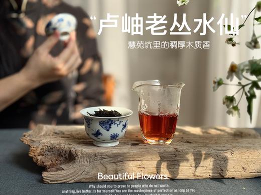 【好茶来了】卢岫老丛水仙，慧苑坑里稠厚队伍中的，一枝独秀，尽是木质芬芳！ 商品图11