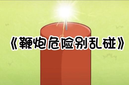 《鞭炮危险别乱放》 商品图0