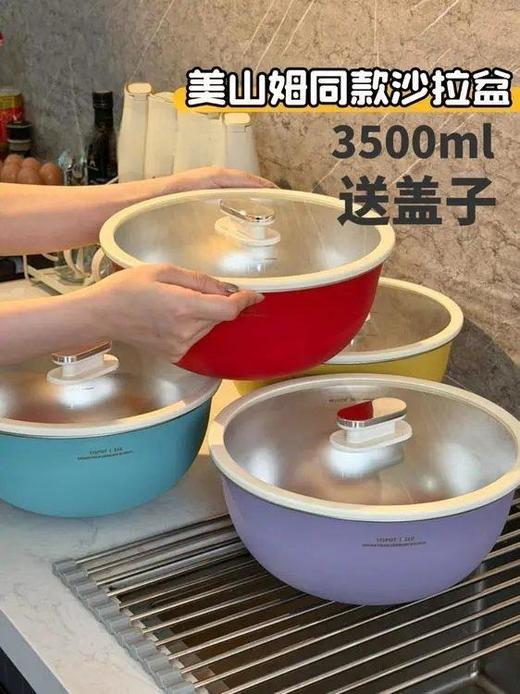易铂维德多用盆26cm大盆送盖 商品图0