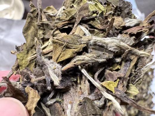 2025 空谷  果香寿眉  福鼎磻溪 青龙山腹地 300克起 商品图4