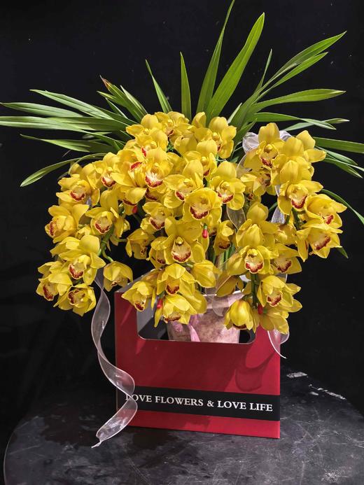 年宵花卉大花蕙兰拱兰专送广州佛山顺德香港澳门珠三角地区 商品图2