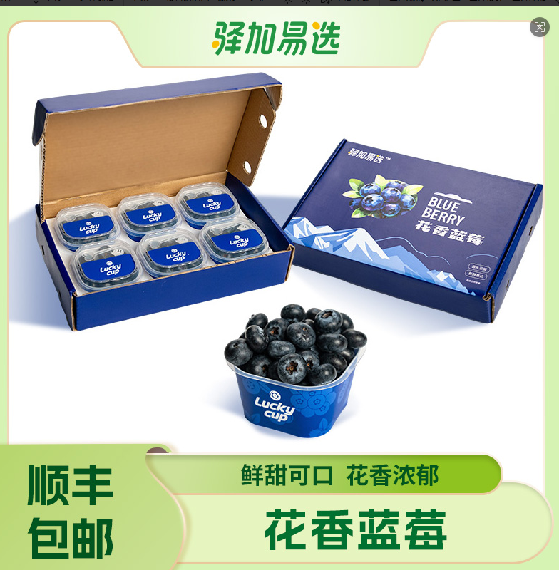 严选 | 云南花香蓝莓礼盒 600g（100g*6盒）酸甜可口 颗颗饱满 产地新鲜直发