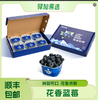 严选 | 云南花香蓝莓礼盒 600g（100g*6盒）酸甜可口 颗颗饱满 产地新鲜直发 商品缩略图0
