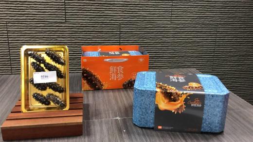 春节礼盒·鲜食海参  没有冰衣保水剂 口感劲道 肉质肥厚 商品图5