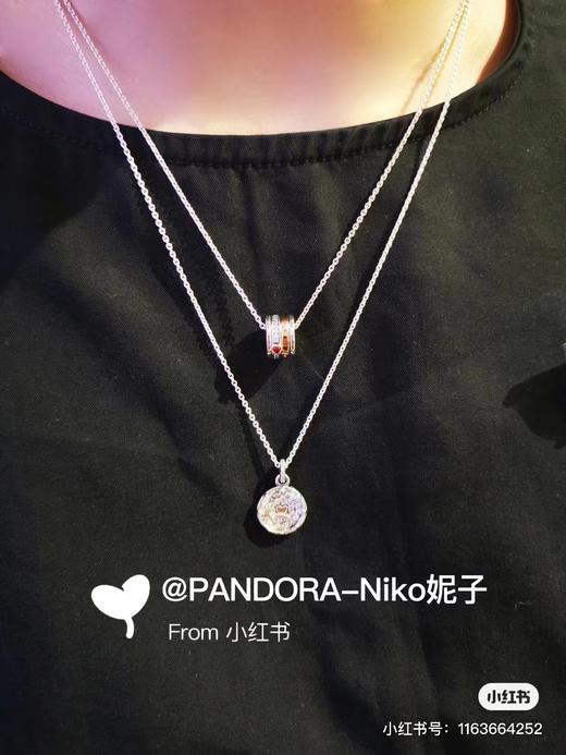 F020512迷你心形设计转运珠蜜语筒项链 商品图4