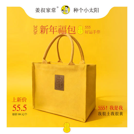 2026新年福包好运手伴+赠1支清口牙膏（100g）+1小盒姜椒燕麦饮（4袋） 商品图0