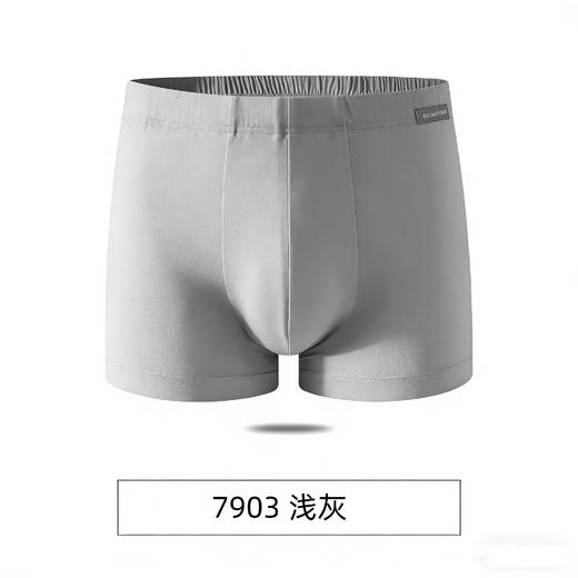 【天丝莫代尔】SCHIESSER德国舒雅男士薄款柔软亲肤天丝莫代尔中腰平角小裤单条装35/24174T 商品图2