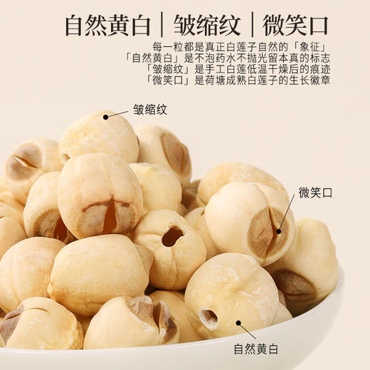 【白莲子 】湖南湘潭产地去芯莲子250g/罐  优质原材 甘平下火降燥温养口感粉糯清甜  商品图3
