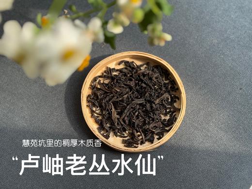 【好茶来了】卢岫老丛水仙，慧苑坑里稠厚队伍中的，一枝独秀，尽是木质芬芳！ 商品图4
