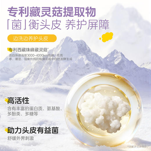 【儿童多效洗发水】儿童专研功效洗发水 养护头皮屏障 洗出蓬松水光发 多维改善油·臭·塌  袋鼠妈妈儿童多效洗发水300ml 商品图2