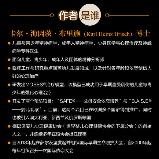 依恋障碍：从依恋理论到咨询和治疗心理咨询师书籍心理学书籍依恋关系焦虑抑郁 商品图2