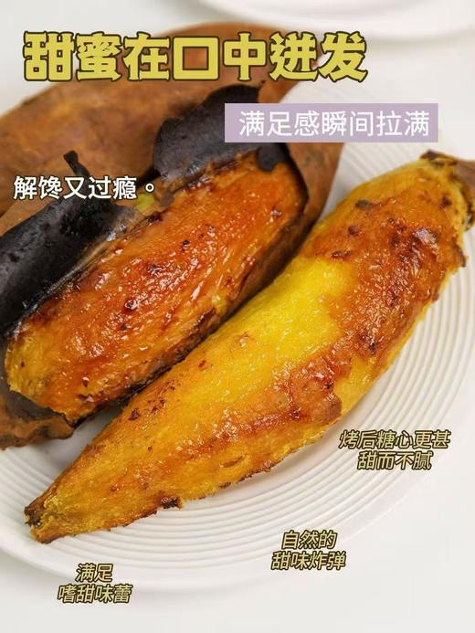 【新品】嘿山贡薯 商品图3