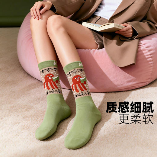 帆书文创·万物读书 棉袜（1盒4双） 商品图3