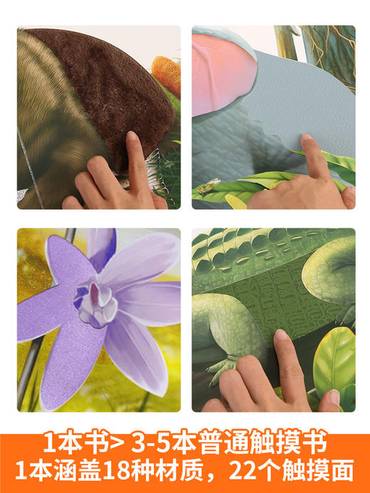 《那么大！地板书：宝宝的第一本触摸书（点读版）》 商品图2