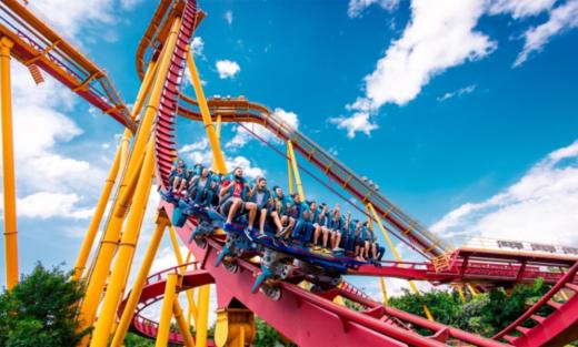 【热销产品】长隆全天向导陪玩，管家式一对一家庭服务 | 可升级旅拍服务或用车（不含门票） 商品图8