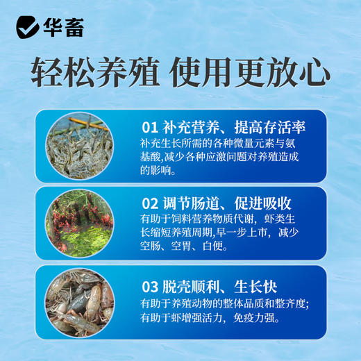 华畜 活力虾 吃得多 长得快 体质健 商品图2