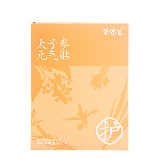 高壮壮系列 【太子参元气贴】考试季|草本敷贴 内养元气 给身体贴点底气 商品图11