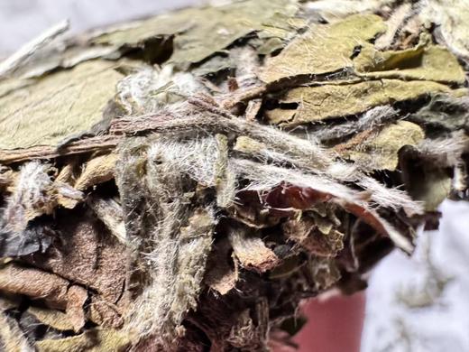 2025 空谷  果香寿眉  福鼎磻溪 青龙山腹地 300克起 商品图1