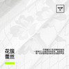【新品上新】有棵树性感透气收腹抗菌桑蚕丝裆高腰蕾丝内裤女士三角裤3条装-U5030 商品缩略图1