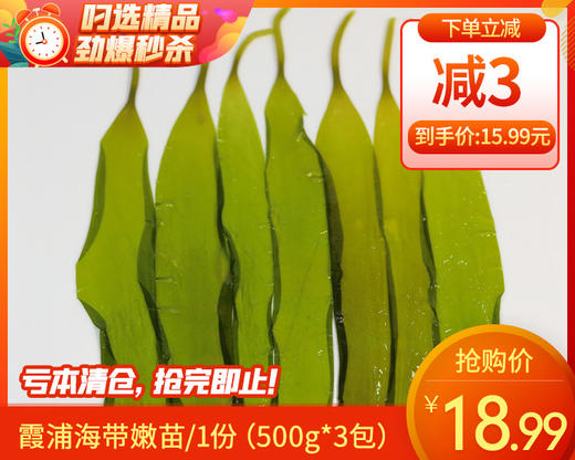 【预售-2月9日配送】霞浦海带嫩苗/1份（500g*3包）生产日期：25年10月 商品图0