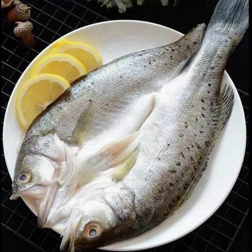 开背海鲈鱼【开袋解冻即烹，三去处理，去腮去鳞去内脏，免杀免洗免调料】 商品图3