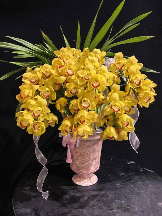 年宵花卉大花蕙兰拱兰专送广州佛山顺德香港澳门珠三角地区 商品图1