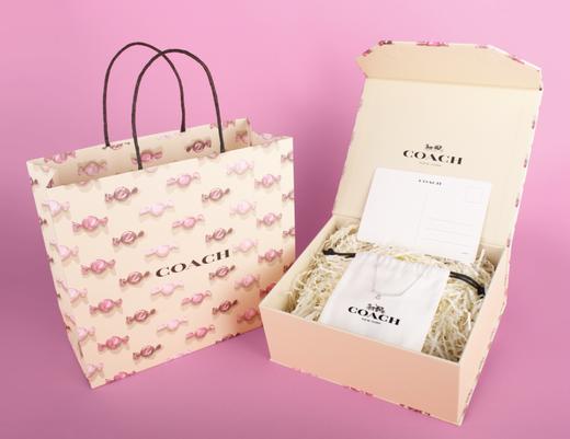 【情人节礼物】COACH镜架0HC6279D-540054 商品图1