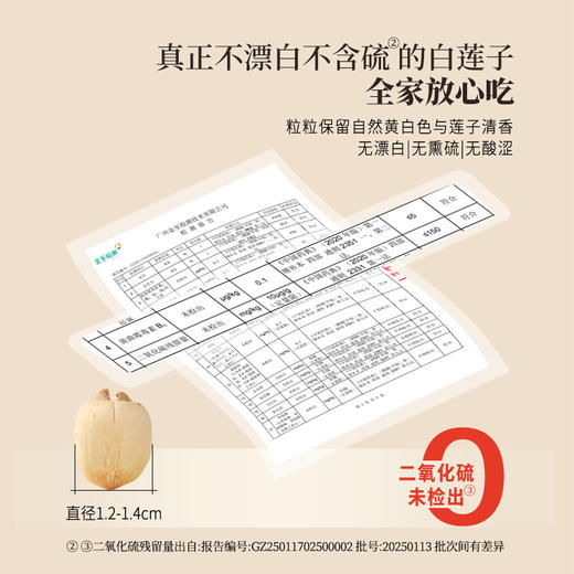 【白莲子 】湖南湘潭产地去芯莲子250g/罐  优质原材 甘平下火降燥温养口感粉糯清甜  商品图2