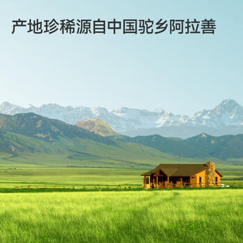 京东京造 有机纯骆驼乳粉300g 成人乳铁蛋白年货节送礼 /水饮冲调 /成人奶粉 /驼奶粉 商品图0