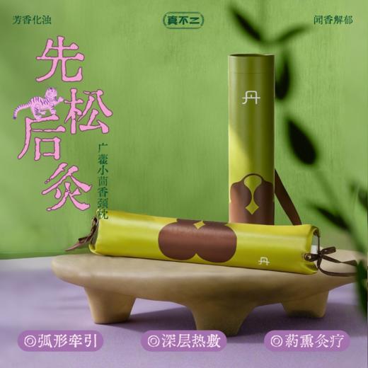 【真不二】广藿小茴香颈枕USB接口热敷版颈椎牵引神器枕头送礼好物Y 商品图1