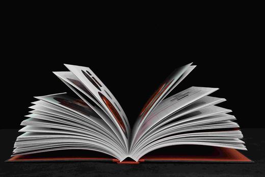 【重磅推荐】《长沙马王堆汉墓陈列》，小8开，精装，湖南省博物馆编，岳麓书社2026年一月一印，430面，雅昌精印，定价498，售价370 商品图4