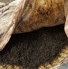 【碧螺红茶/正宗苏州东山洞庭湖明前碧螺春】 核心产区碧螺春 采用金骏眉工艺5斤青叶产1斤红茶 花果香耐泡甘甜 商品缩略图6
