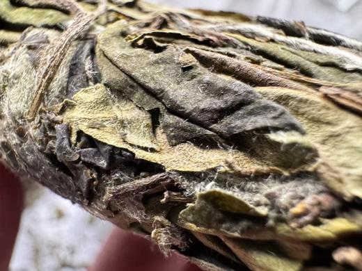 2025 空谷  果香寿眉  福鼎磻溪 青龙山腹地 300克起 商品图2